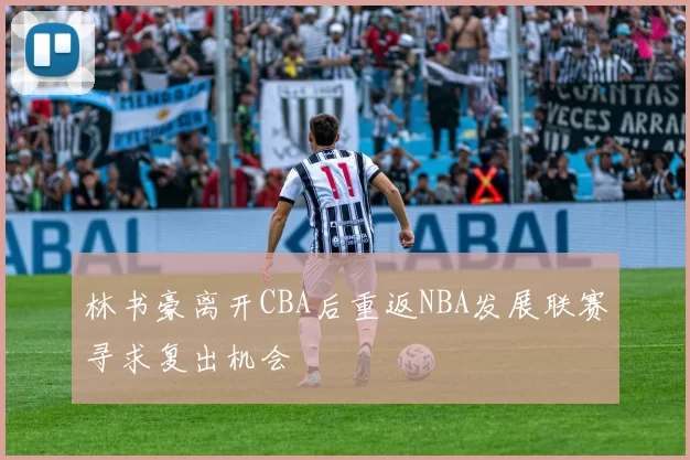 林书豪离开CBA后重返NBA发展联赛寻求复出机会
