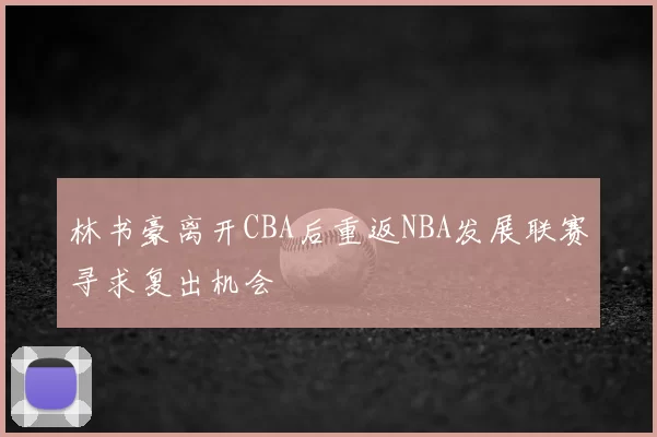 林书豪离开CBA后重返NBA发展联赛寻求复出机会