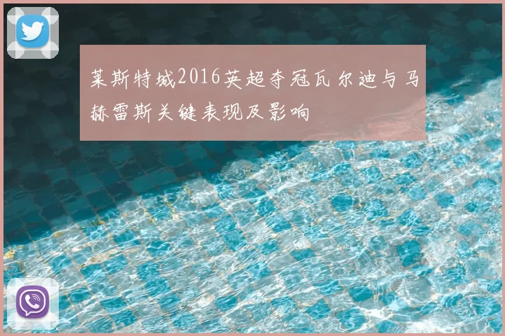 莱斯特城2016英超夺冠瓦尔迪与马赫雷斯关键表现及影响
