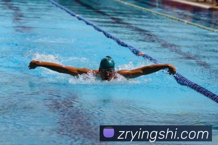 星空体育综合官网APP 封面图